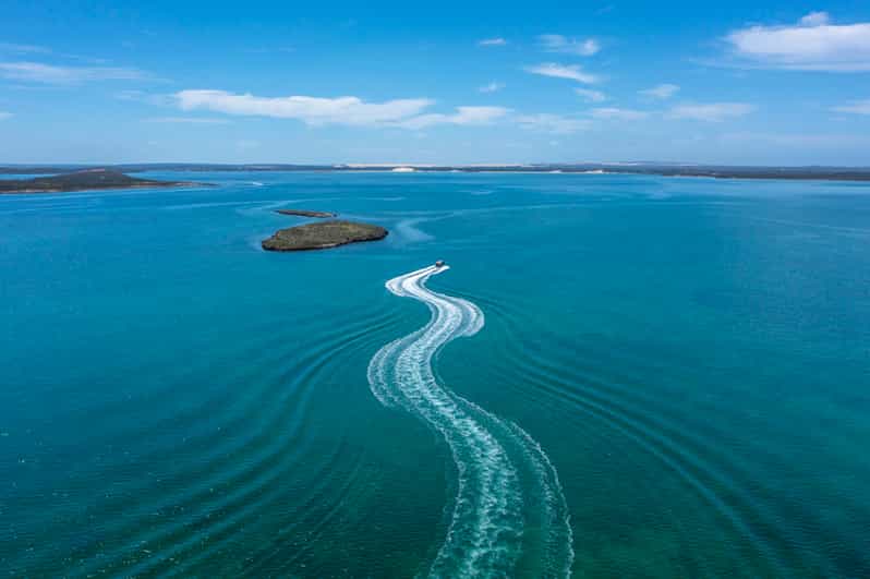 Coffin Bay Oyster Farm Scenic Cruise incl 6 Fresh Oysters GetYourGuide