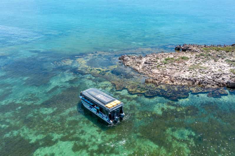 Coffin Bay Oyster Farm Scenic Cruise incl 6 Fresh Oysters GetYourGuide