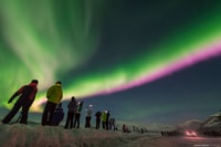 Tromso, Northern Lights Photography Bus Tour - Housity