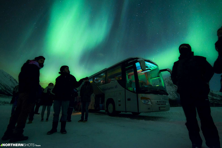 Tromsö: Busstur med fotografering av norrskenTromsö: Northern Lights Photography Bus Tour