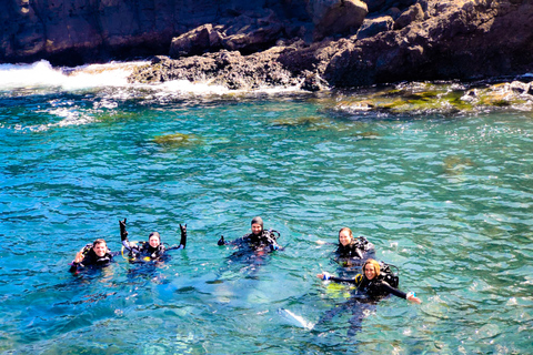 Teneriffa: Private Bootsfahrt mit Scuba Diving und 2 TauchgängenTeneriffa: Privates Tauchen mit 2 Tauchgängen