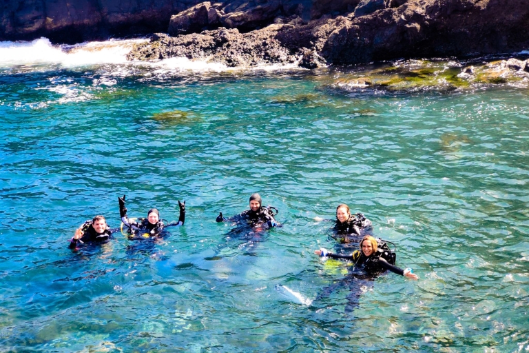 Tenerife : Promenade en bateau privé avec plongée sous-marine et 2 plongéesTenerife : Plongée sous-marine privée avec 2 plongées