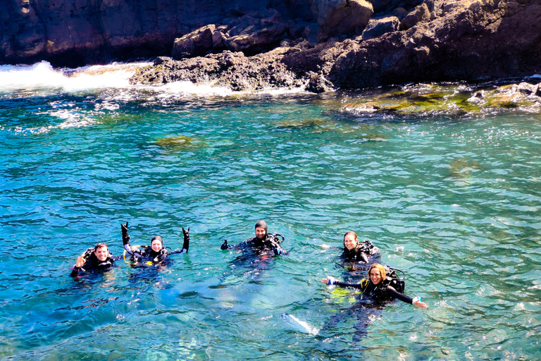 Tenerife : Promenade en bateau privé avec plongée sous-marine et 2 plongéesTenerife : Plongée sous-marine privée avec 2 plongées