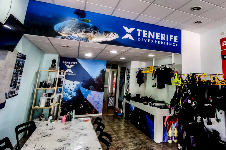 Tenerife: Paseo en barco privado con buceo y 2 inmersionesTenerife: Buceo privado con 2 inmersiones