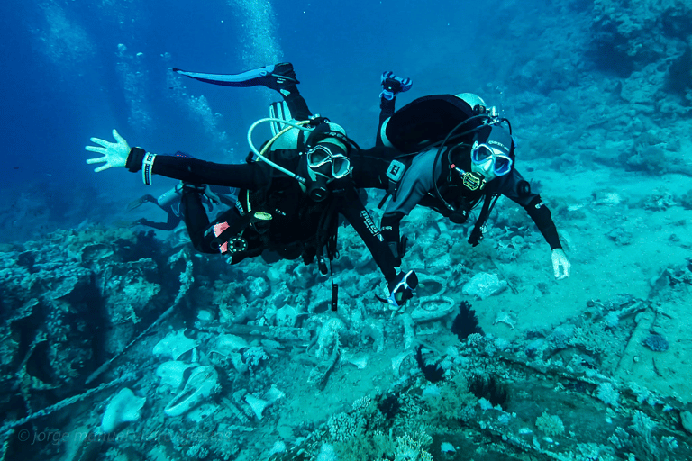 Tenerife : Promenade en bateau privé avec plongée sous-marine et 2 plongéesTenerife : Plongée sous-marine privée avec 2 plongées