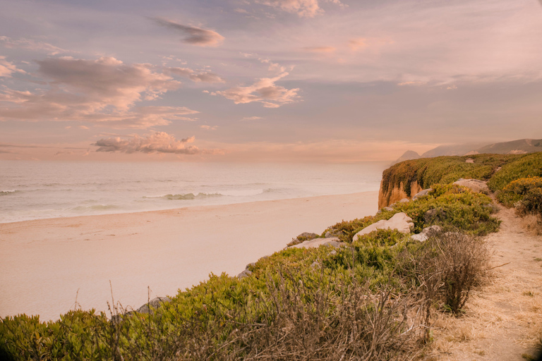 Capture moments along the iconic California Coast Highway 1