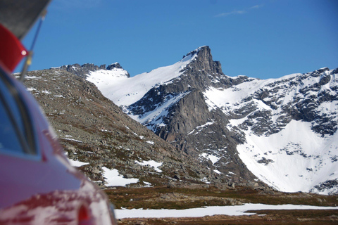 Tromsø: Raquetas de Nieve en un Paisaje EscénicoTour privado