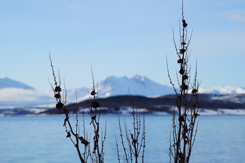 Tromsø: Schneeschuhwandern in landschaftlich reizvoller UmgebungPrivate Tour