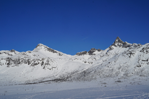 Tromsø: raquetes de neve em paisagens cênicasTour particular