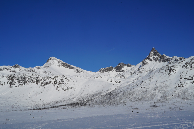 Tromsø: racchette da neve nel paesaggio panoramicoTour privato