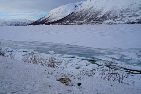 Tromsø: sneeuwschoenwandelen in schilderachtig landschapPrivétour