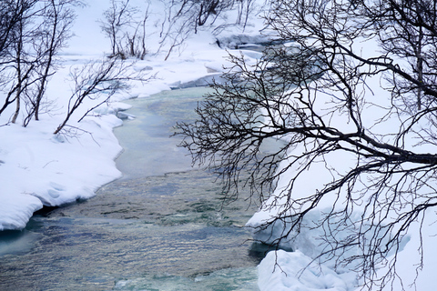 Tromsø: raquetes de neve em paisagens cênicasTour particular