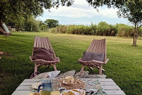 Colonia del Sacramento: Afternoon Tea at a Vineyard