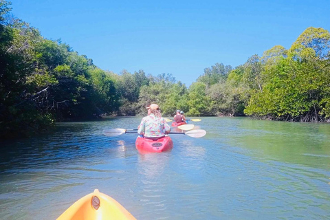 Ko Lanta : Kayak dans la mangrove, Ko Talabeng et l'île du Crâne