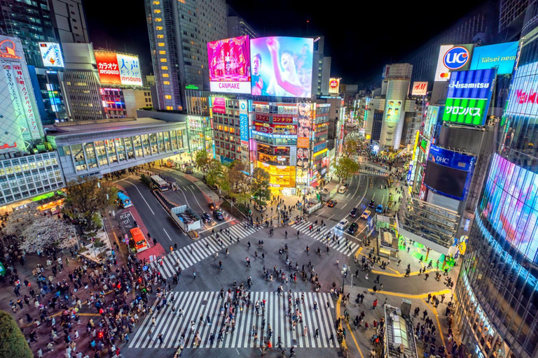 Tokyo City Tour: Private Full-Day Tour with Hotel Pickup Comfortable, air-conditioned Vellfire for 1–6 guests-8- Hour