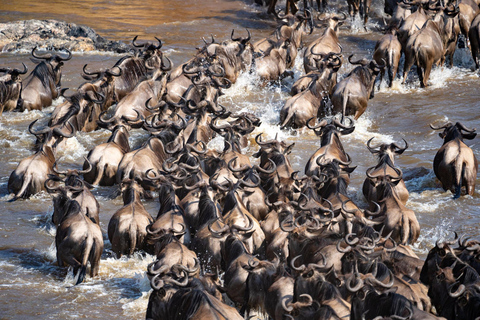 7-dniowe safari Manyara, Serengeti, Ngorongoro i Mto Wa Mbu