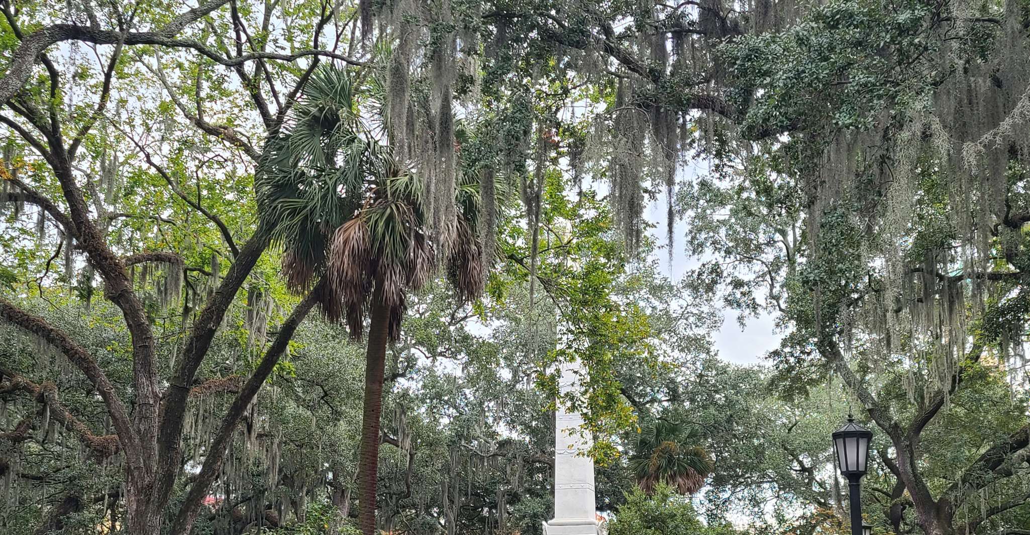 Savannah, Old Town Hop-On Hop-Off Trolley Tour - Housity