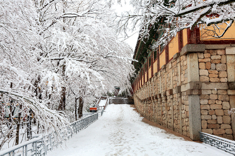 Busan: Gyeongju UNESCO Highlights 6 Hours Express Tour Shared Tour, Meet at Haeundae Station