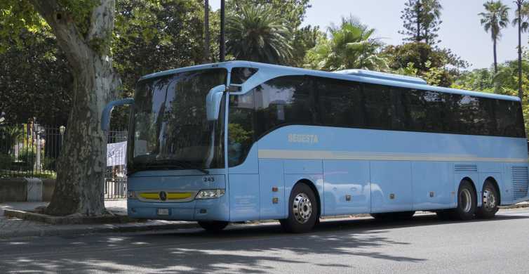 De la Palermo: Transfer cu autobuzul spre/de la centrul orașului Trapani