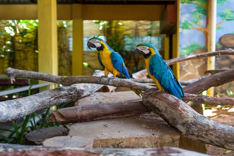Langkawi: Biglietto d'ingresso al parco faunistico di Langkawi