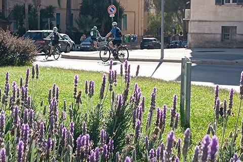 Catania: ElektrofahrradverleihCatania: Ganztägiger Elektrofahrradverleih