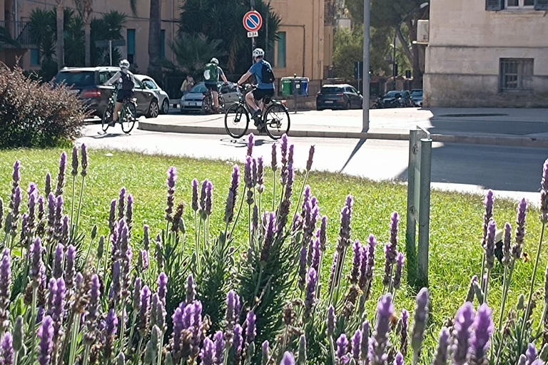 Catania: ElektrofahrradverleihCatania: Ganztägiger Elektrofahrradverleih