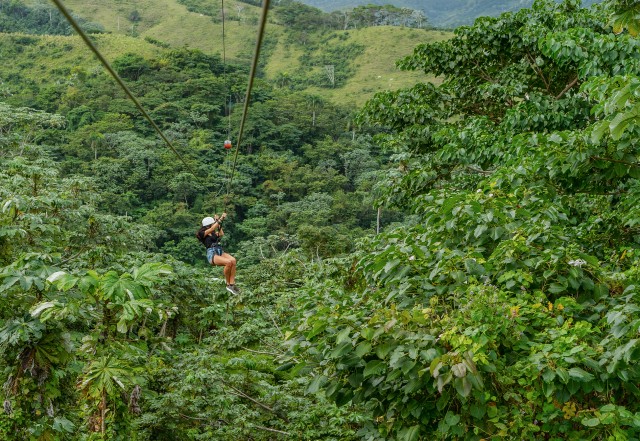 Visit Punta Cana Zipline, Chairlift, Buggy & Horse Ride Adventure in Boca Chica