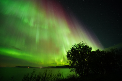 Tromsø: Tour da aurora boreal com retrato profissional gratuito