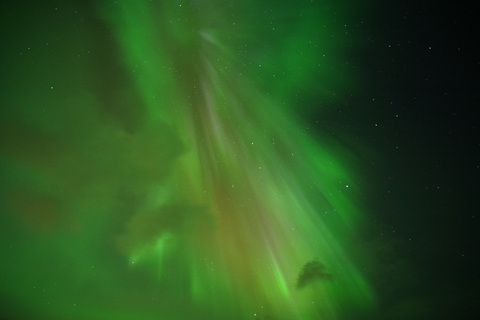 Tromsø: Excursión a la Aurora Boreal con Retrato Profesional Gratuito