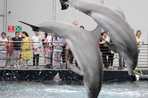 Genoa: Aquarium, Galata Museum and Submarine Entry Tickets