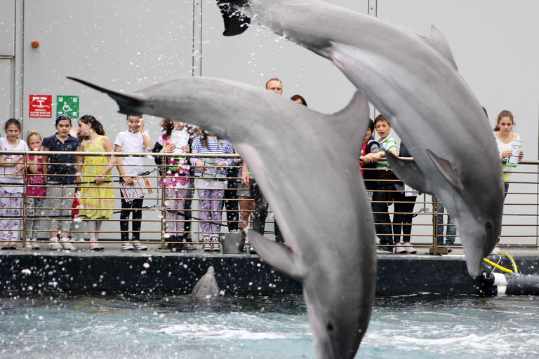 Genoa: Aquarium, Galata Museum and Submarine Entry Tickets