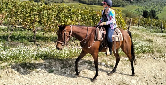 From Florence: Horse Ride and Wine Tour at Estate with Lunch