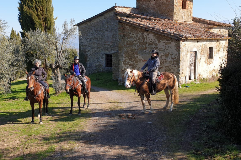 From Florence: Horse Ride and Wine Tour at Estate with Lunch