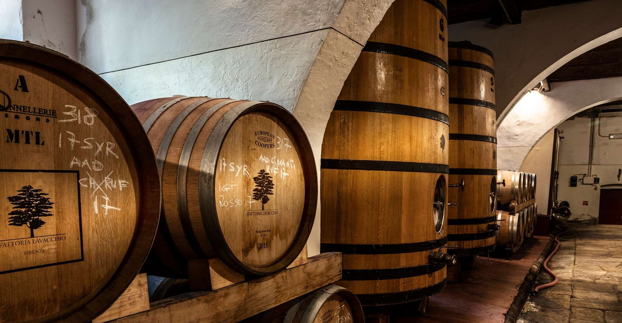 From Florence: Horse Ride and Wine Tour at Estate with Lunch photo 4