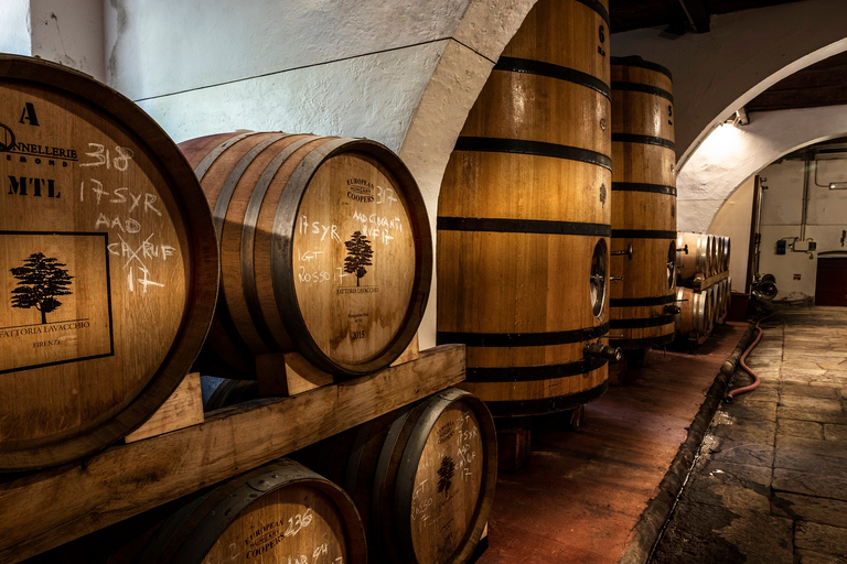 From Florence: Horse Ride and Wine Tour at Estate with Lunch