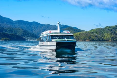 Picton: Queen Charlotte Sounds Sightseeing Cruise