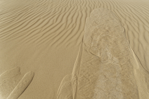 Agadir: Desert Sahara Trip z lunchem i transferami hotelowymi