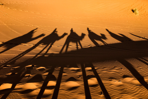 Agadir: voyage dans le désert du Sahara avec déjeuner et transferts à l'hôtel