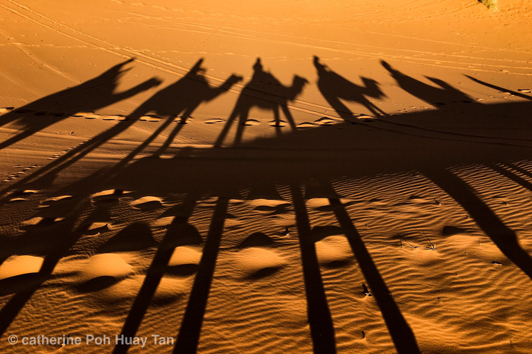 Agadir: voyage dans le désert du Sahara avec déjeuner et transferts à l'hôtel