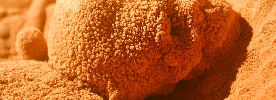 Visite d'une jounée de la grotte d'Actun Tunichil Muknal (ATM) à Belize City