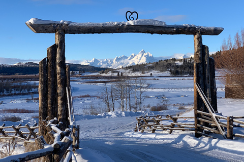 Jackson Hole: Excursión en motonieve de día completo por el Grand TetonJackson Hole: Excursión privada en moto de nieve por el Grand Teton
