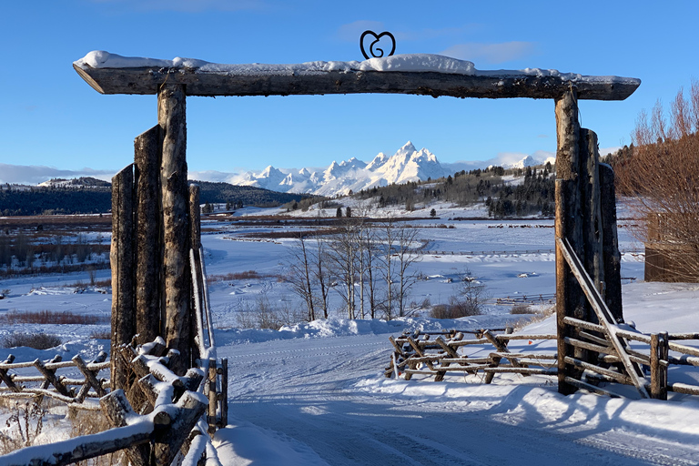 Jackson Hole: Excursión en motonieve de día completo por el Grand TetonJackson Hole: Excursión privada en moto de nieve por el Grand Teton