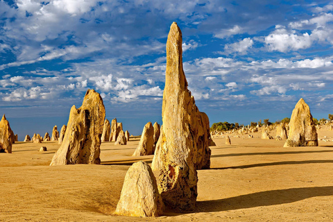 Perth: Pinnacles and Swan Valley Wine Day Tour with LunchGuided Tour in French