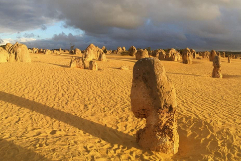 Perth: Excursão de um dia aos Pinnacles e ao Swan Valley Wine Tour com almoçoTour guiado em alemão