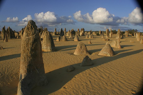 Perth: Pinnacles and Swan Valley Wine Day Tour with Lunch Guided Tour in English