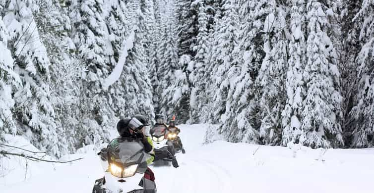 Seward Kenai Fjords National Park Guided Snowmobiling Tour Getyourguide