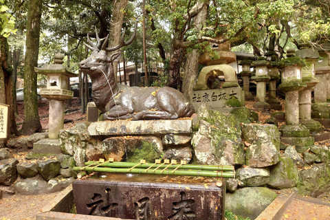 Nara: Private Car Tour of Hidden Gems & Ancient Icons