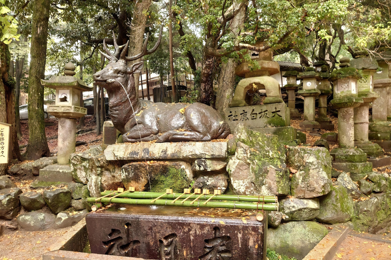 Nara: Private Car Tour of Hidden Gems & Ancient Icons