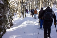 Feldberg, geführte Schneeschuhwanderung im Schwarzwald - Hizvo