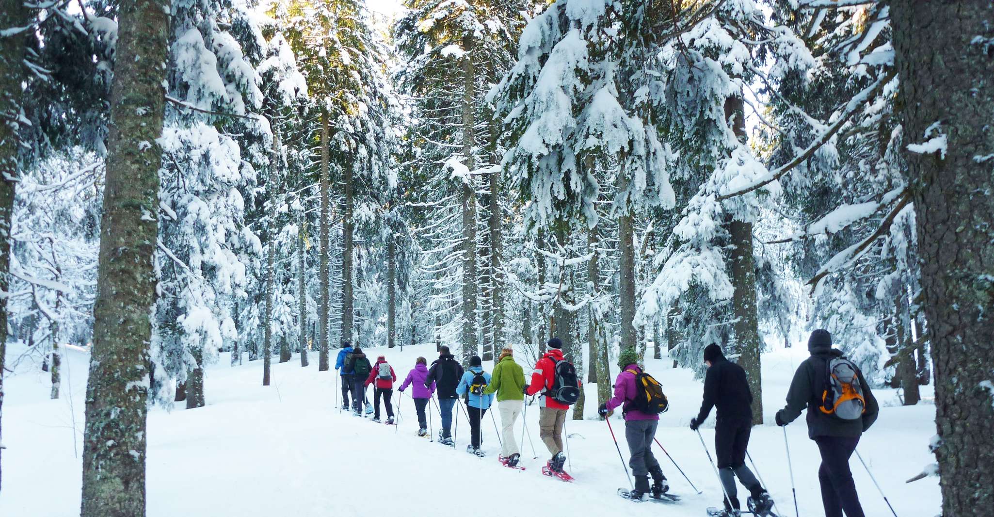 Feldberg, Guided Snowshoeing Tour in the Black Forest - Hizvo